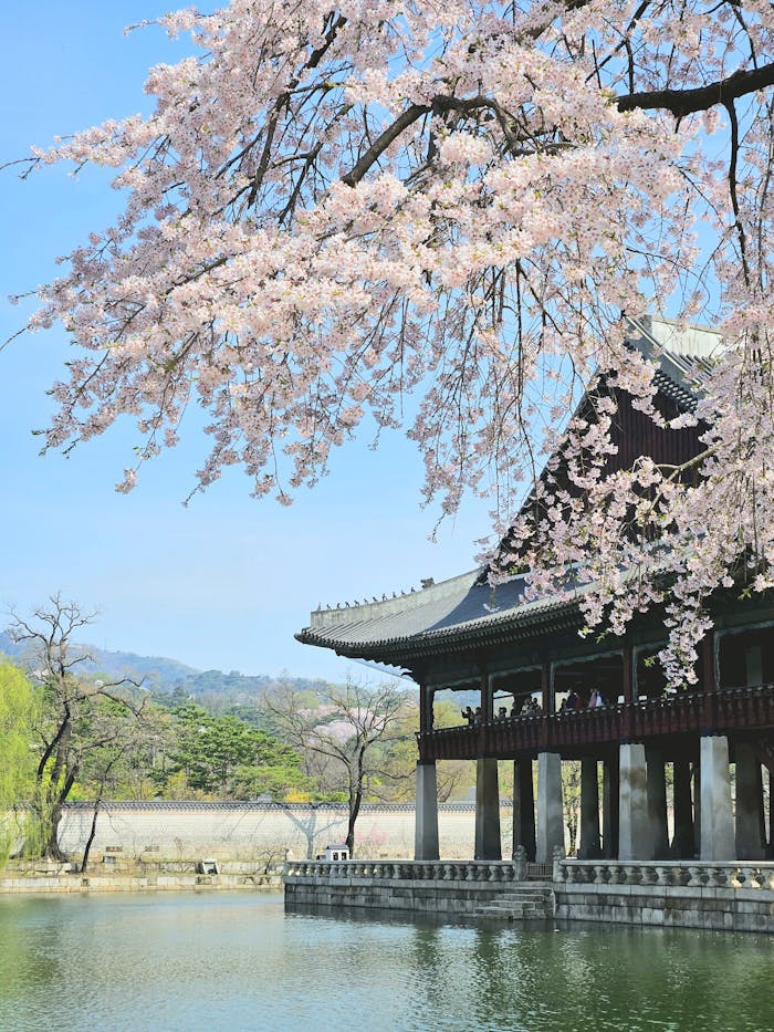 Photo of the Gyeonghoeru Pavilion in Seoul, South Korea